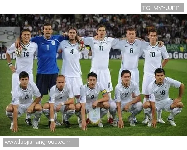 斯洛文尼亚足球明星的辉煌历程与成就解析