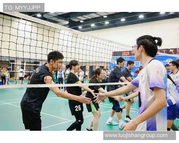 杭州排球队逆袭之路揭秘冠军赛背后的奋斗与荣耀